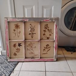 Art Deco Plant Preservation Piece