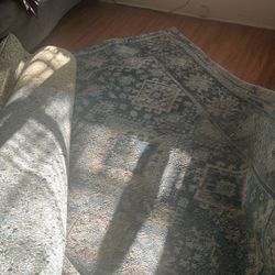 FREE-Big Area Rug 
