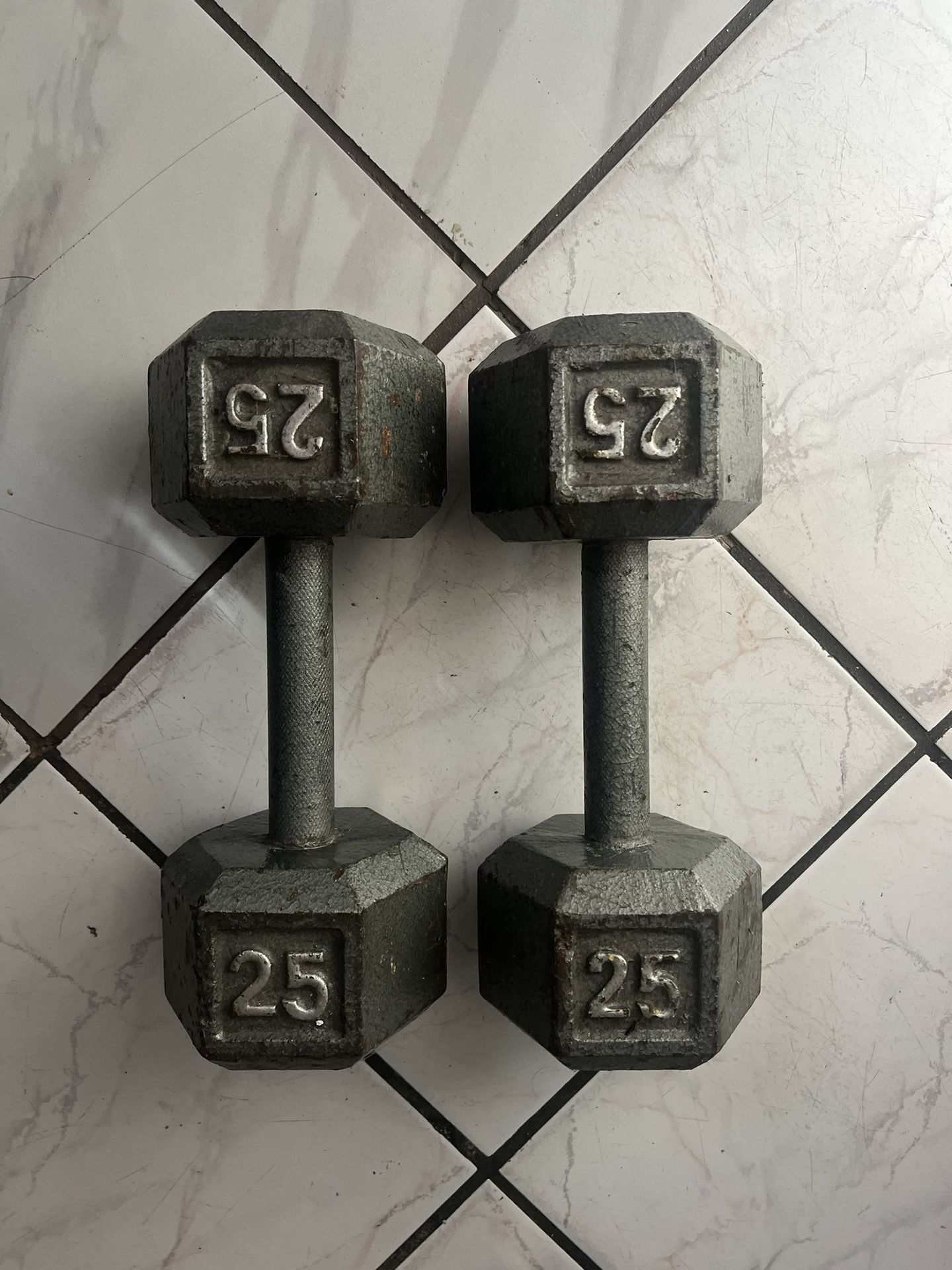25lb Dumbbells