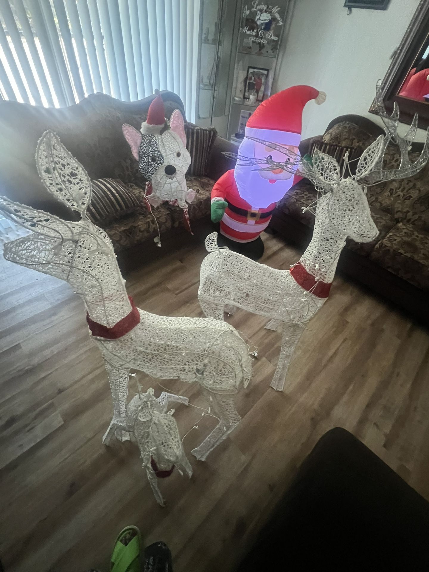 Christmas Reindeer’s For Sale 