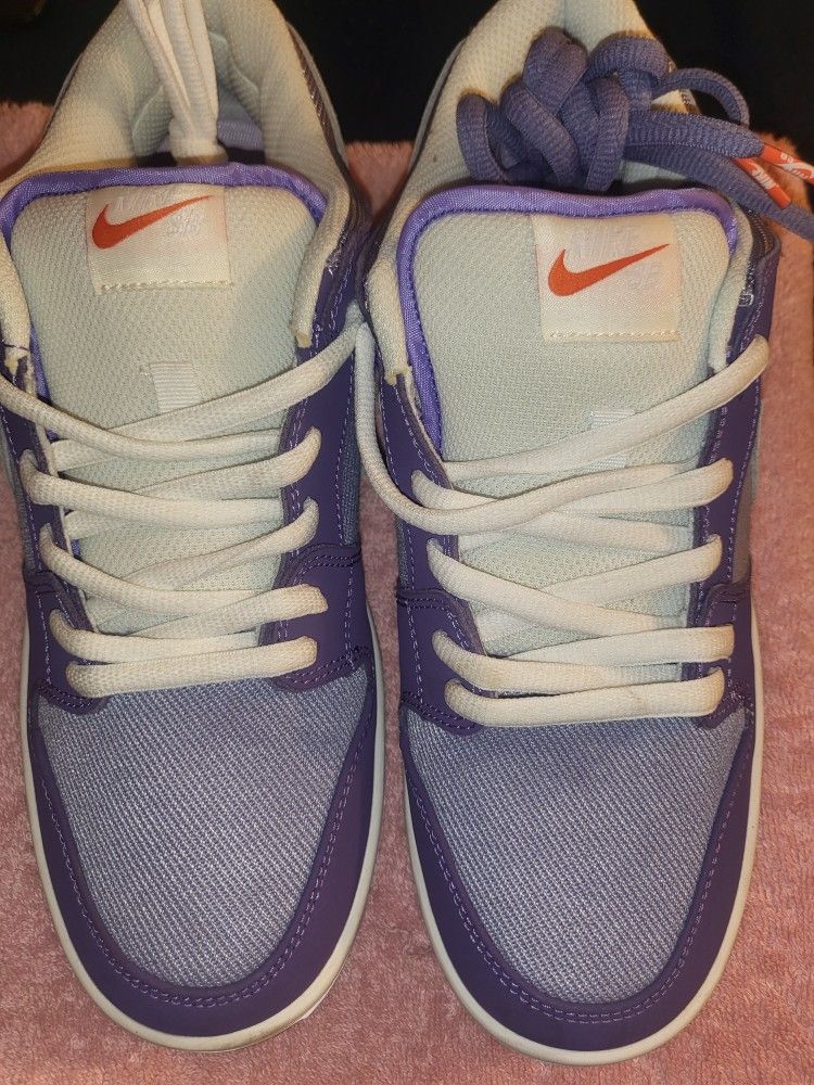 Nike Dunk Sb Low Size 10 New
