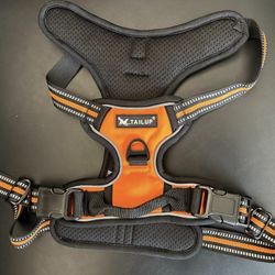 Reflective Dog Leash and Harness