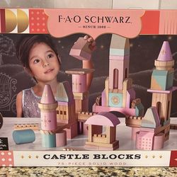 FAO SCHWARTZ Wooden CASTLE blocks