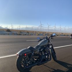 2021 Harley Davidson Iron 883