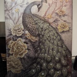 Canvas Frame 