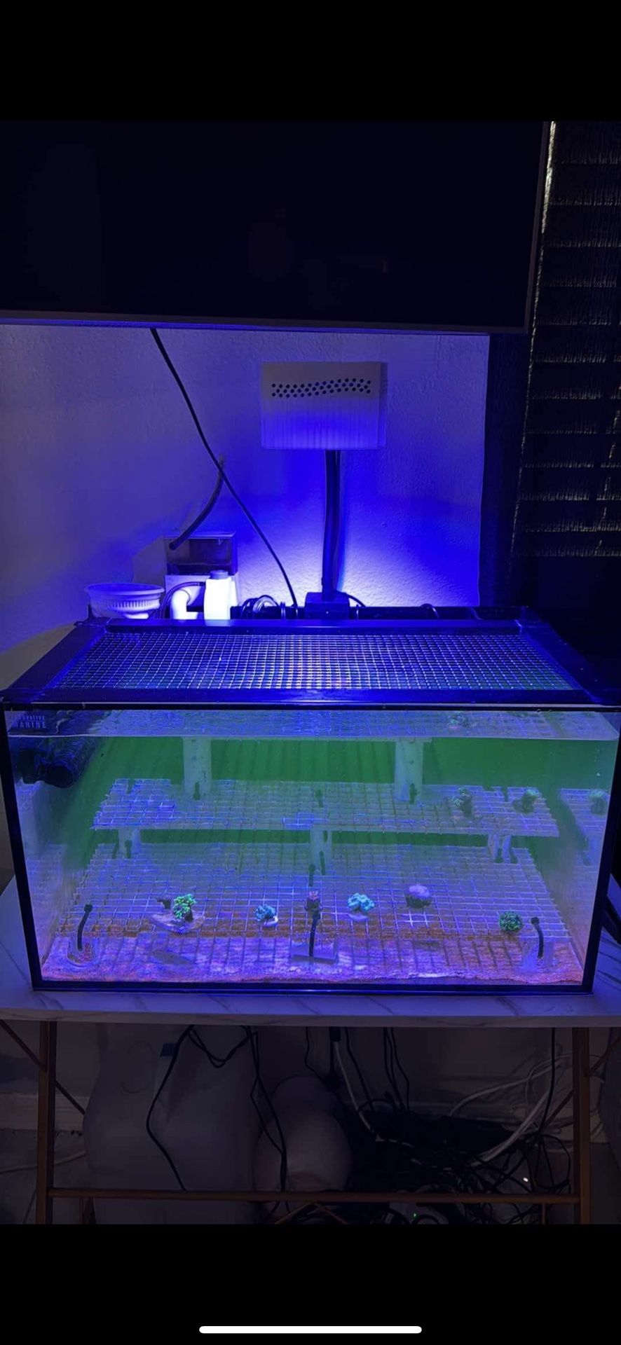 20 Gallon Aio Tank
