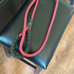 Dog Leash, Brown Lab