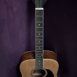 Mitchell's Guitar 