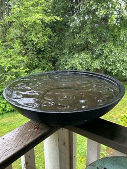 Bird bath/planting plants