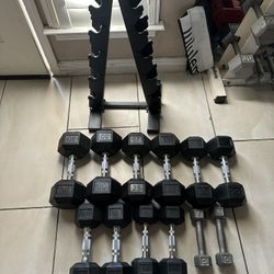 Dumbbells weights 5-30 plus rack 210lbs total