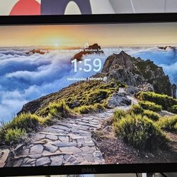20 Inch Computer Monitor X2
