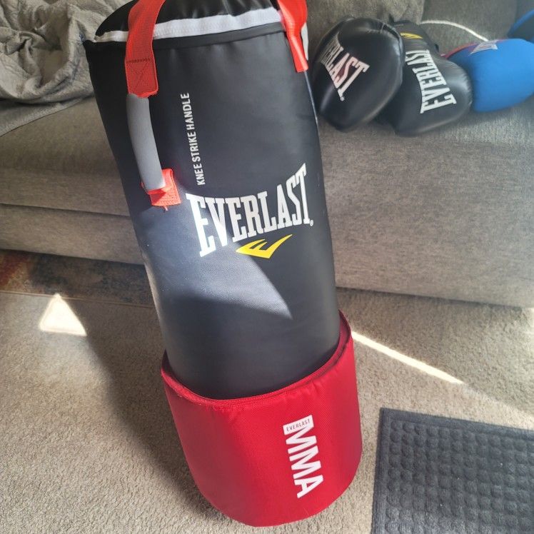 Everlast MMA Punching Bag And Strike Bag. With Two Gloves 