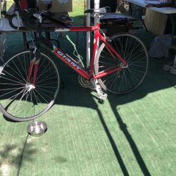 Giant Bike