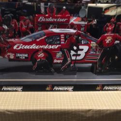 3D Cardboard DALE JR BUDWEISER Pit Stall