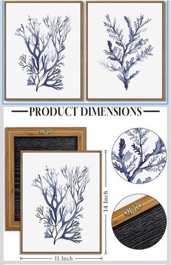 Sea Coral Wall Art Navy Blue Ocean Coral Painting 11"x14"x2Pcs Coastal Beach Themed Pictures Prints Watercolor Corals Wall Decor Framed for Living Roo