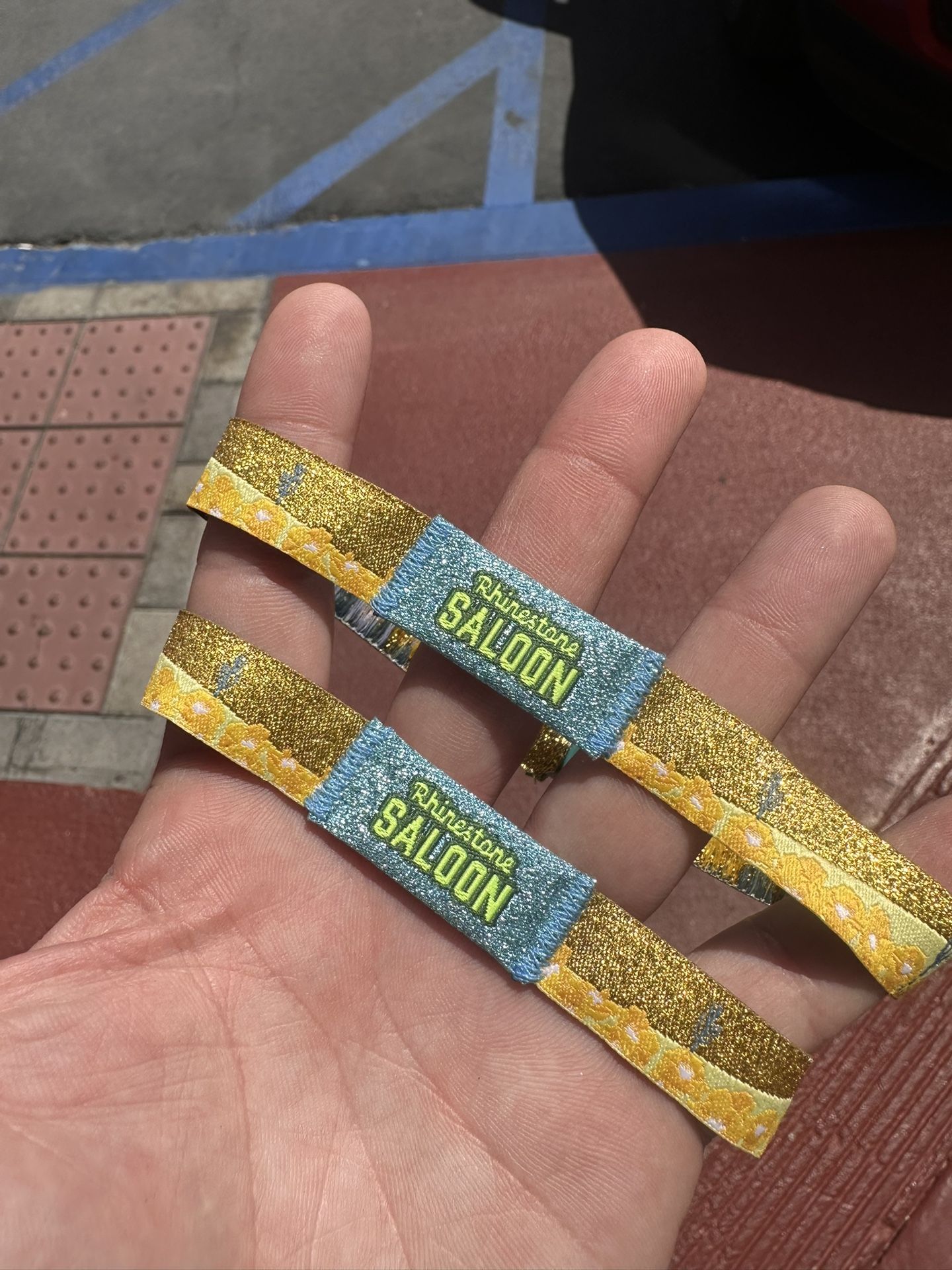 Stagecoach VIP