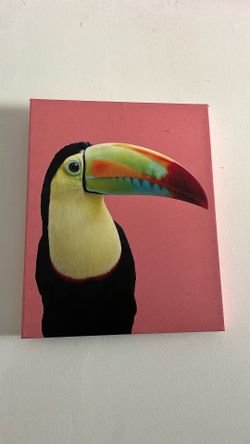 Colorful canvas