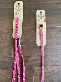 Dog Collar and Leash