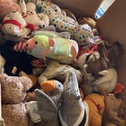 Beanie Babies Box Full 