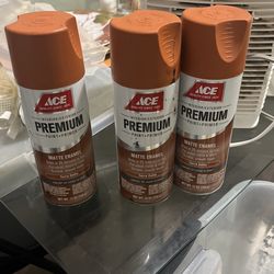 3 Cans Of Terra Cotta Spray paint