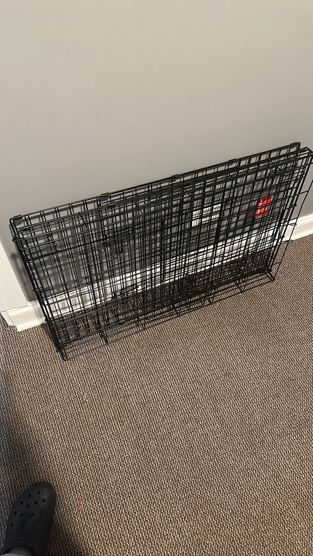 Dog Cage