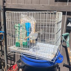 Bird Cage