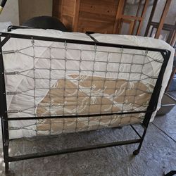 Full Size Folding Cot