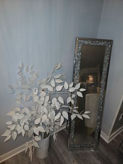 Mirror  and white decor plant