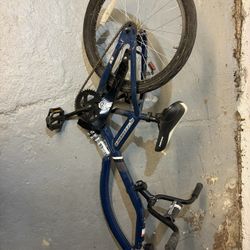 Kids Tow Behind Bike