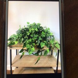 Green / Artificial Leaves With Basket