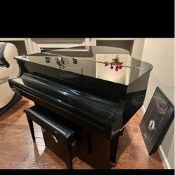 Yamaha DGB1K Dislavier Enspire