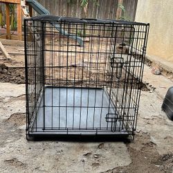 Large Dog Kennel 