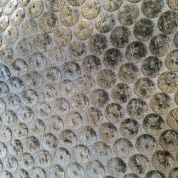 14’ High Quality Chenille Upholstery Fabric 54”  Celadon Color