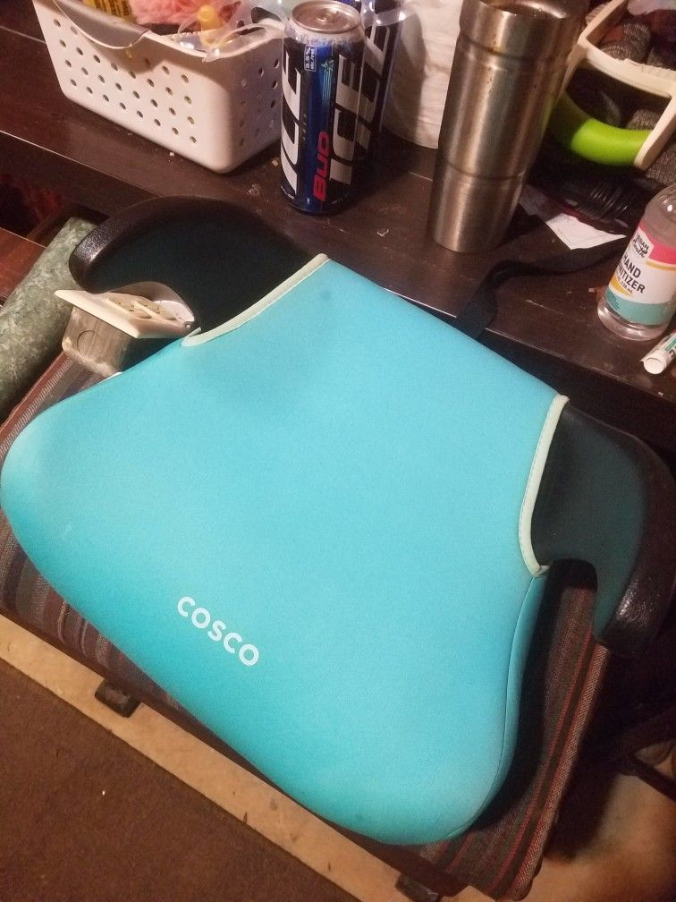 Graco Toddler Seat