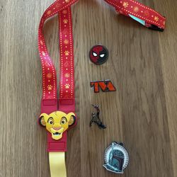 Disneyland Pins And Lanyard