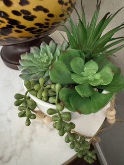 Fake Cactus Plant