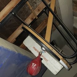 Speed Bag With Title BagAnd Reinforced  Board  And Wall Mount 120$