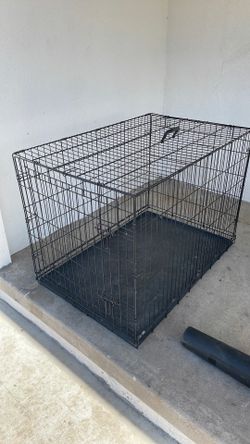 Large dog kennel