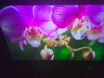Lg nano 8k 75 inch tv quantum
