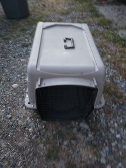 Kennel