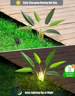 Solar lights