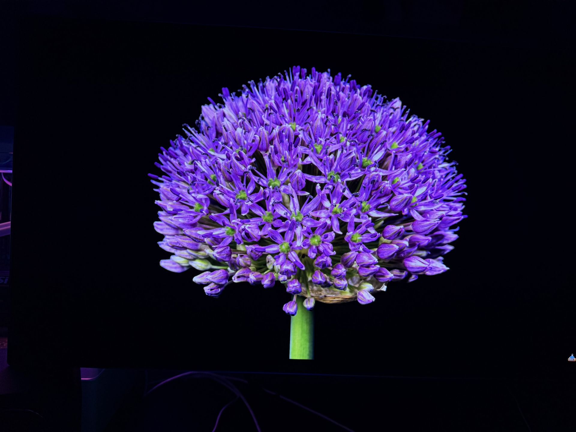 Samsung G60SF QD-Oled 500Hz Gaming Monitor