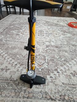 Bike pump with air gage