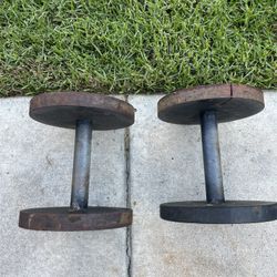 31lb Dumbbells Thick Grip