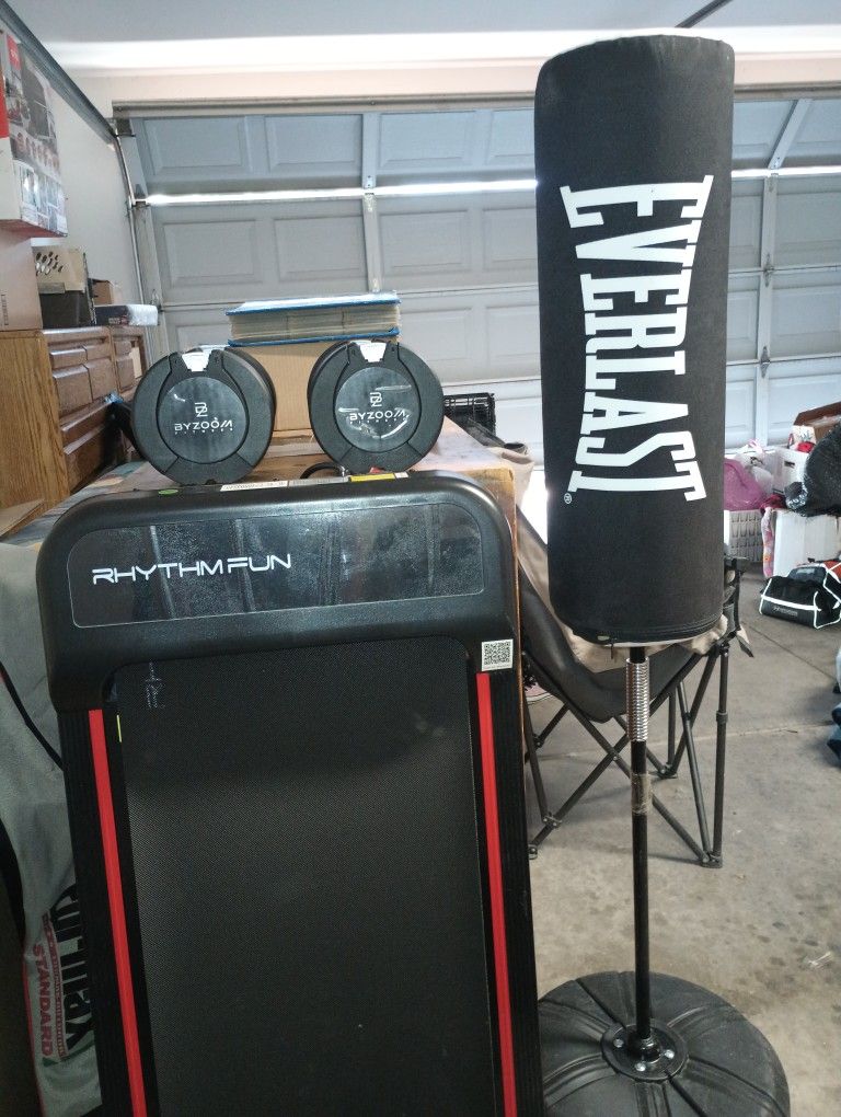 Treadmill, Weights And Everlast Punching Bag