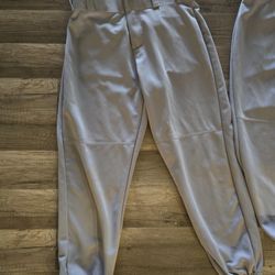 Large Alleson Athletic Baseball Pants 