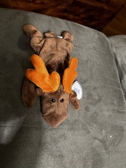 Chocolate, The Beanie Baby Moose