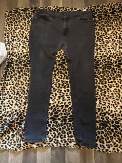 True Religion Pants