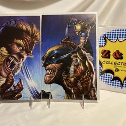 Wolverine #46 And #47