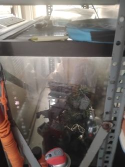 Fish Tank General Tank